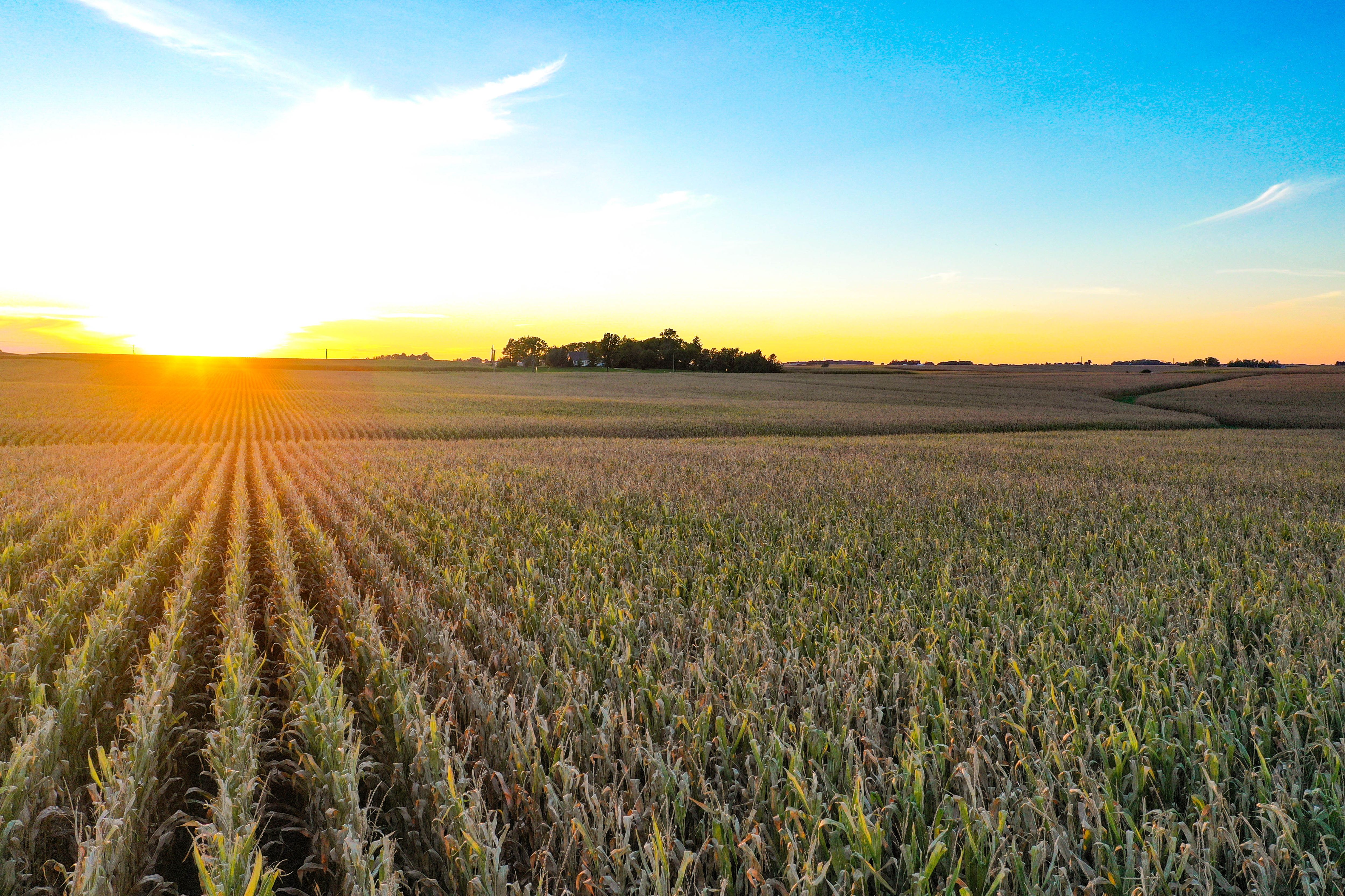 Listing Photo: 30-Northeast Iowa Land Available